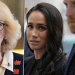 Queen Camilla, meghan and harry