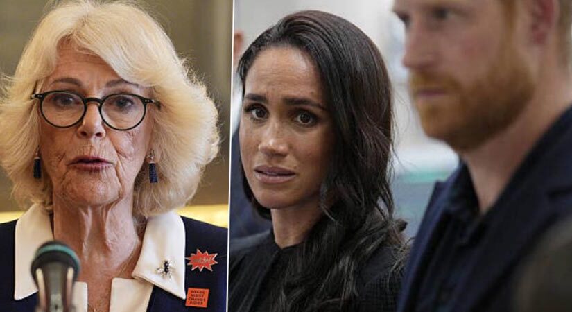 Queen Camilla, meghan and harry