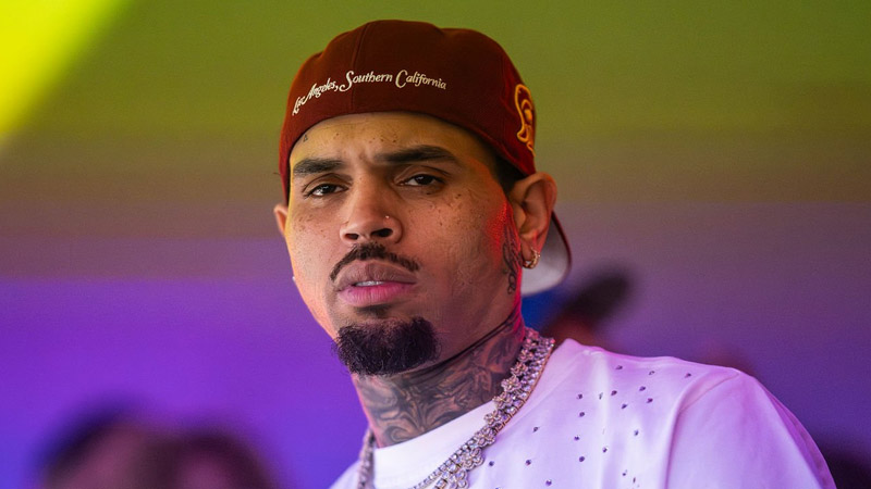 Chris Brown talked about the attack by his security dog