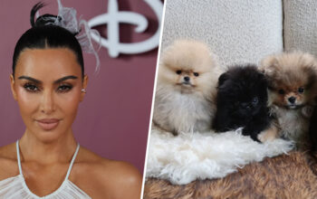Kim Kardashian called out by PETA