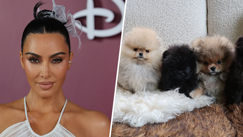 PETA Slams Kim Kardashian for Gifting Her Kids Pomeranian Puppies for Christmas
