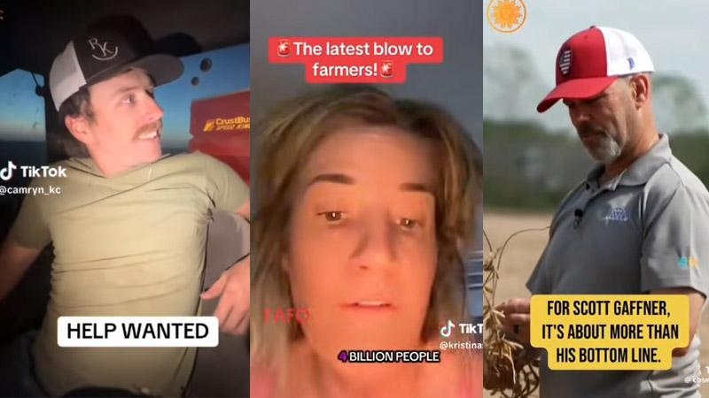 Kansas Farmers Warn of Severe Losses