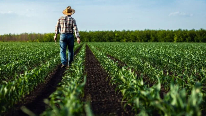 Protecting the Environment and Farmers